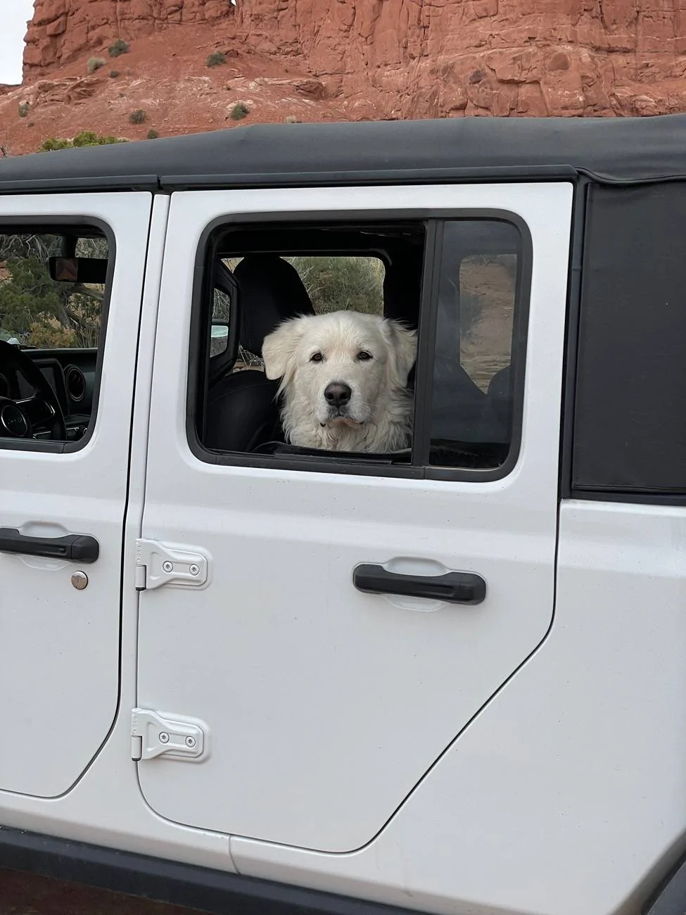 Jeep Gladiator Let’s see your pets cause they are the best companion you can have!!!!! IMG_5243