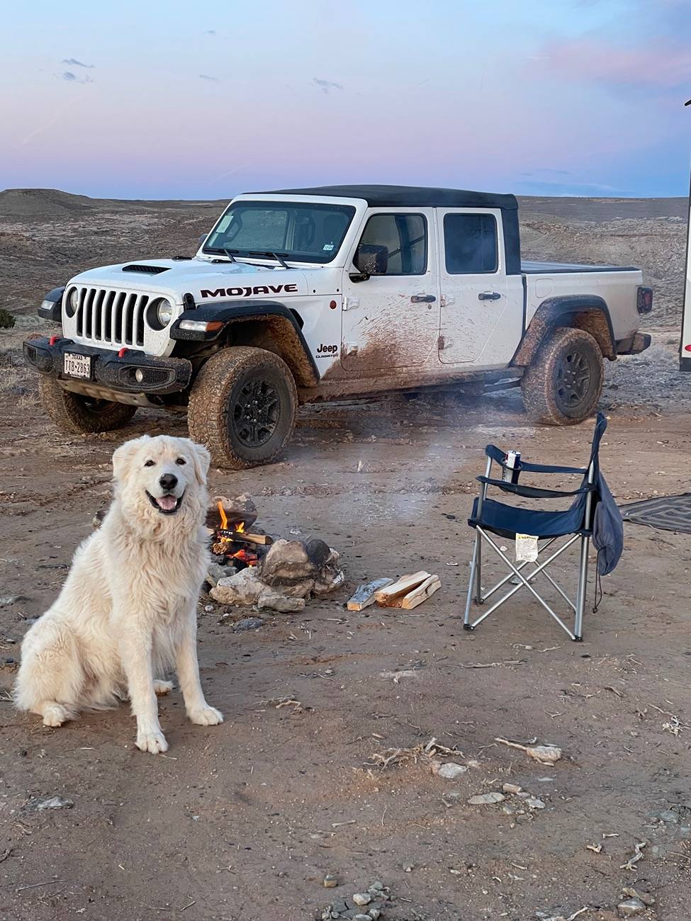 Jeep Gladiator Let’s see your pets cause they are the best companion you can have!!!!! IMG_5220