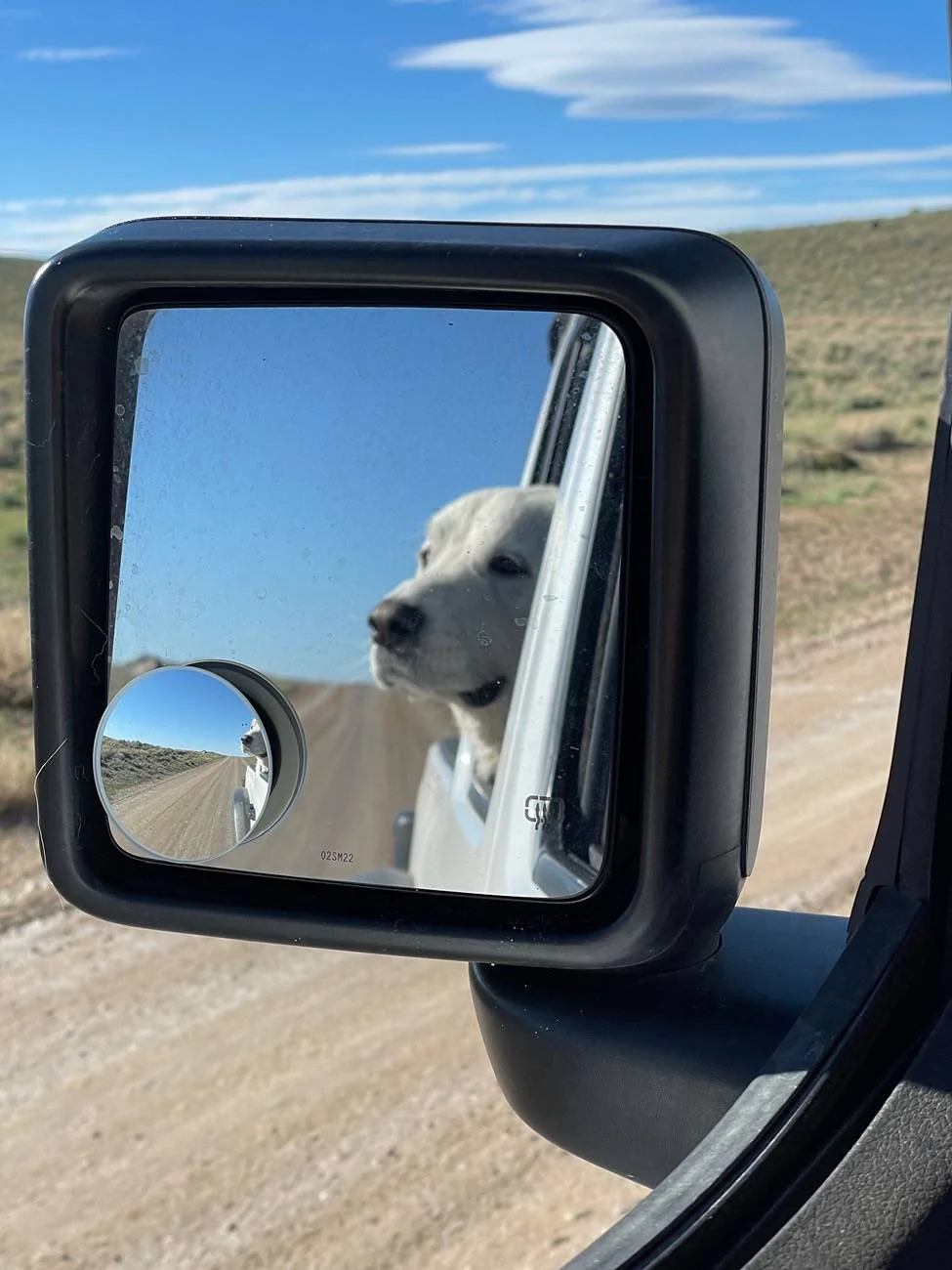 Jeep Gladiator Let’s see your pets cause they are the best companion you can have!!!!! IMG_5478