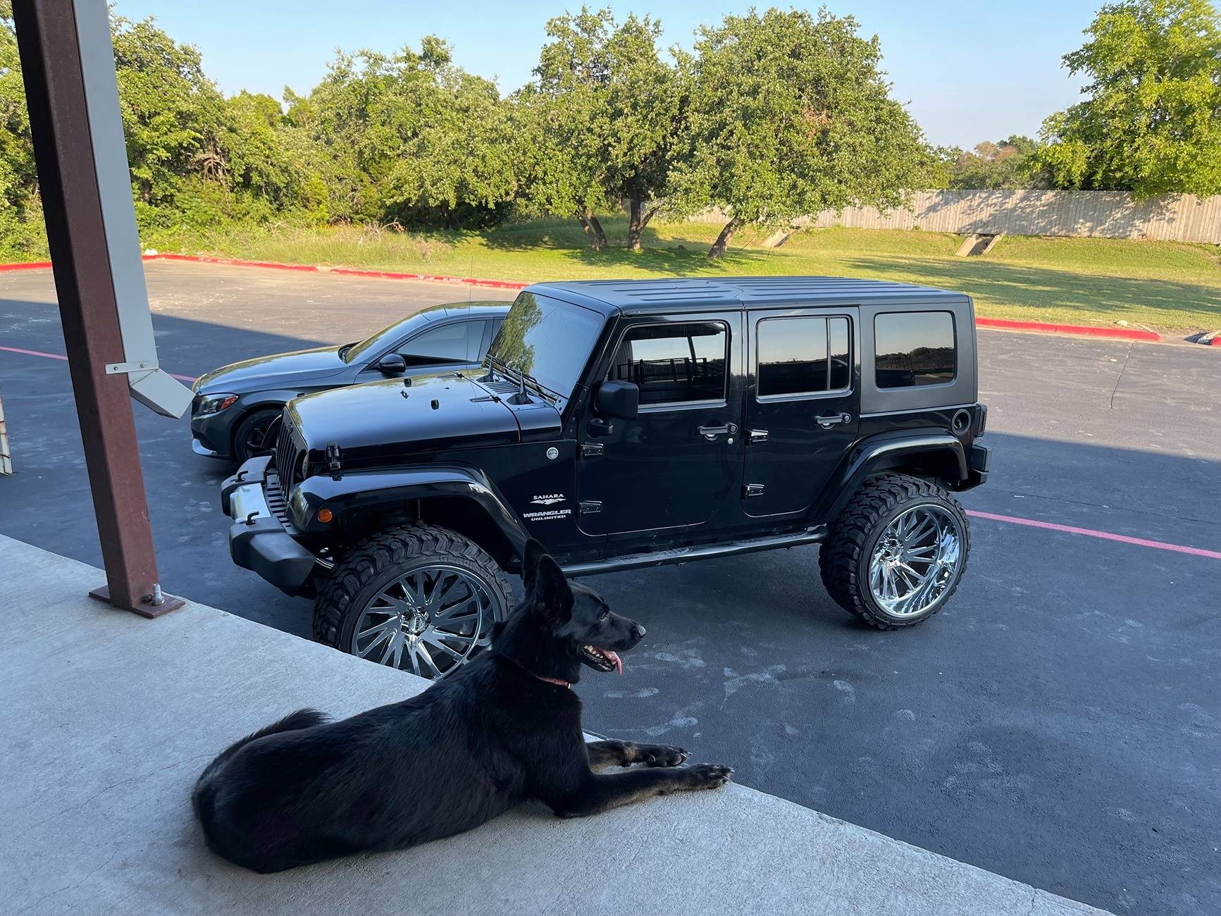 Jeep Gladiator Let’s see your pets cause they are the best companion you can have!!!!! IMG_2345