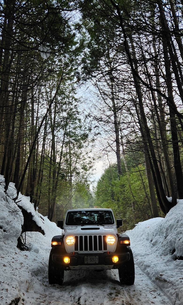 Jeep Gladiator Stock Mojave - 35x12.5r20 20241210_090301
