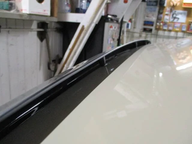 Jeep Gladiator Air Deflector help, please. rubber bumpers