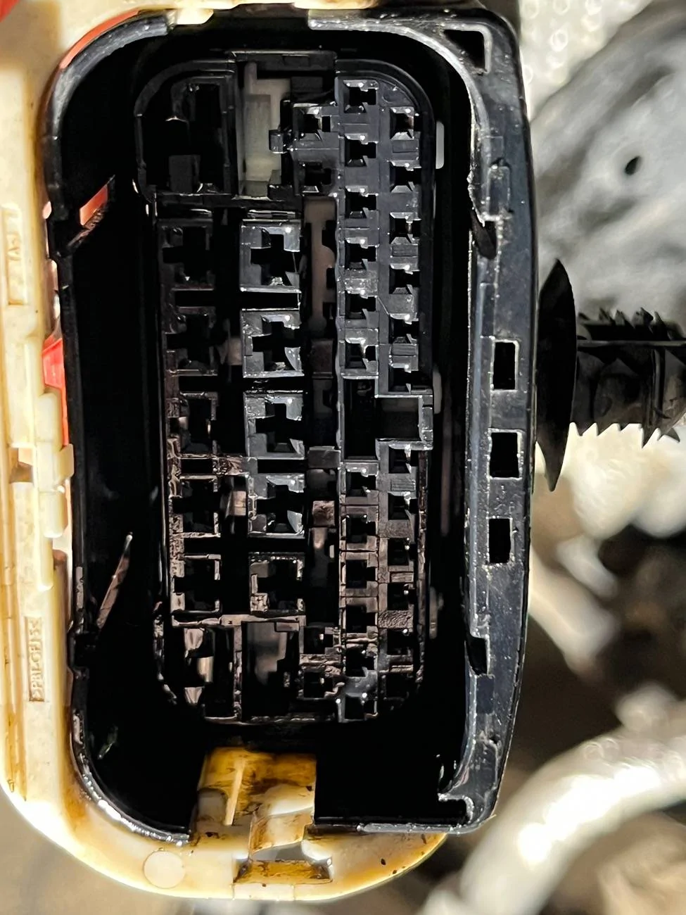 Jeep Gladiator TCM Connector - Preventative Maintenance IMG_3509