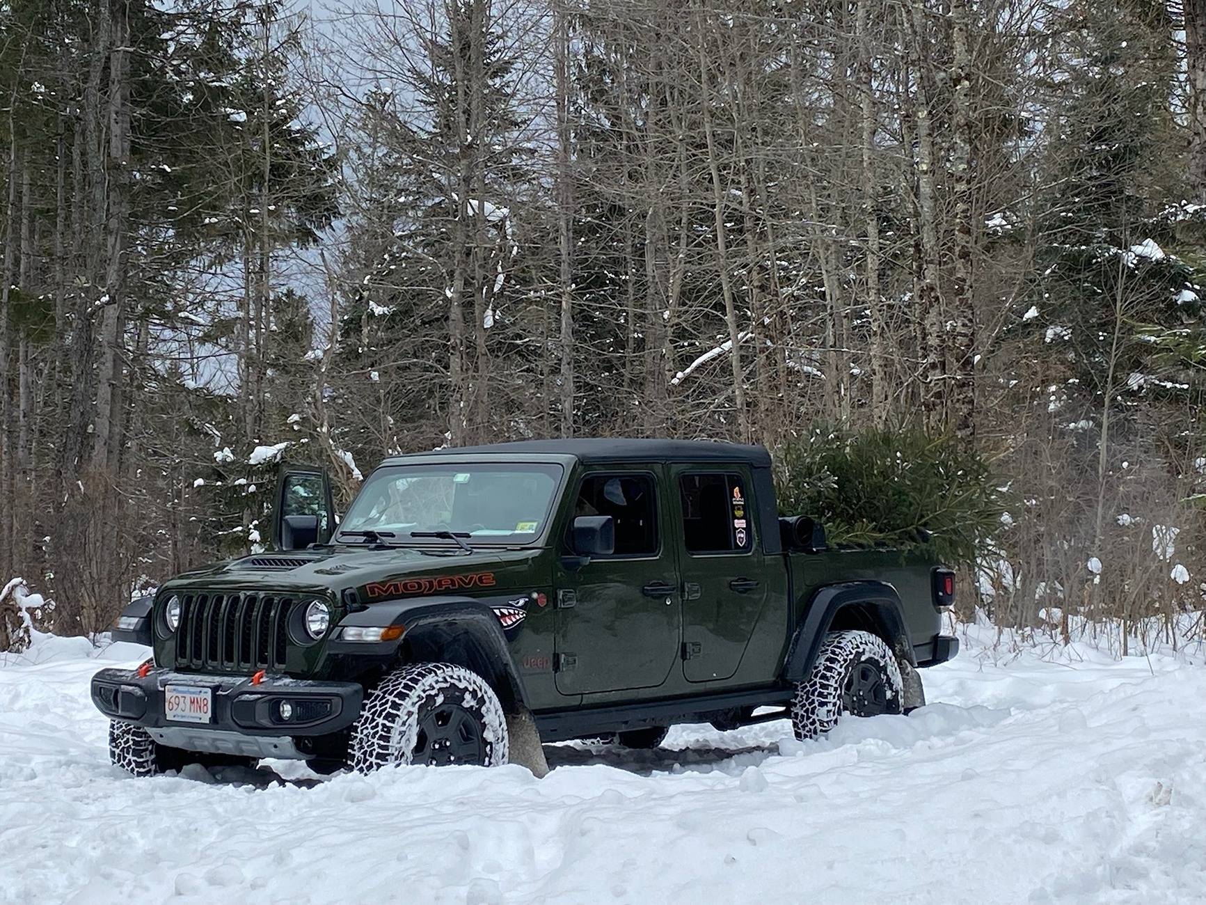 Jeep Gladiator Gladiator Glamour Shots gladiator christmas tree