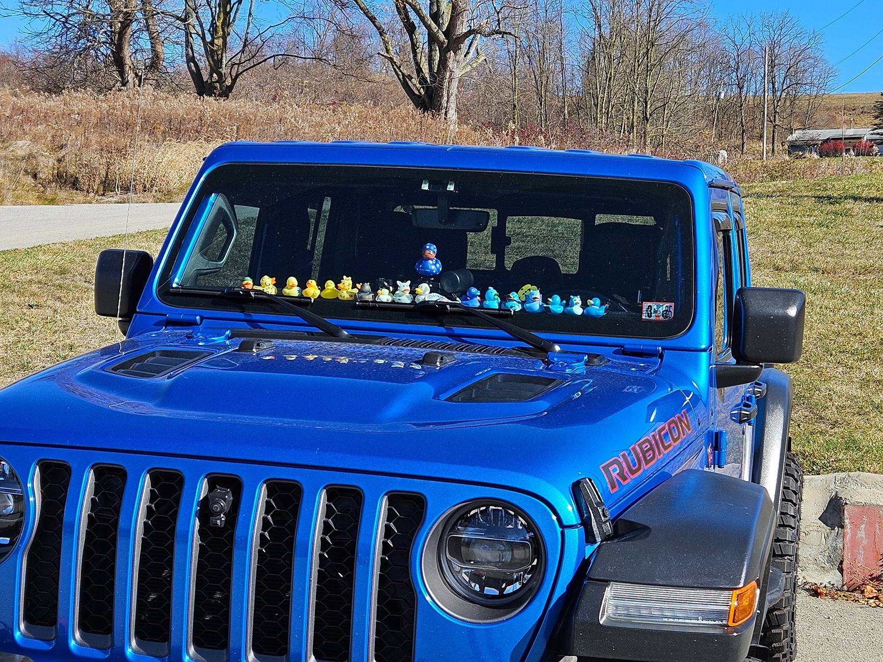 Jeep Gladiator I've Been Ducked! 20241101_111830