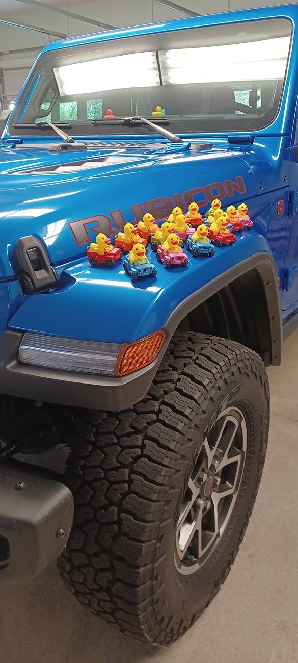 Jeep Ducks.jpg
