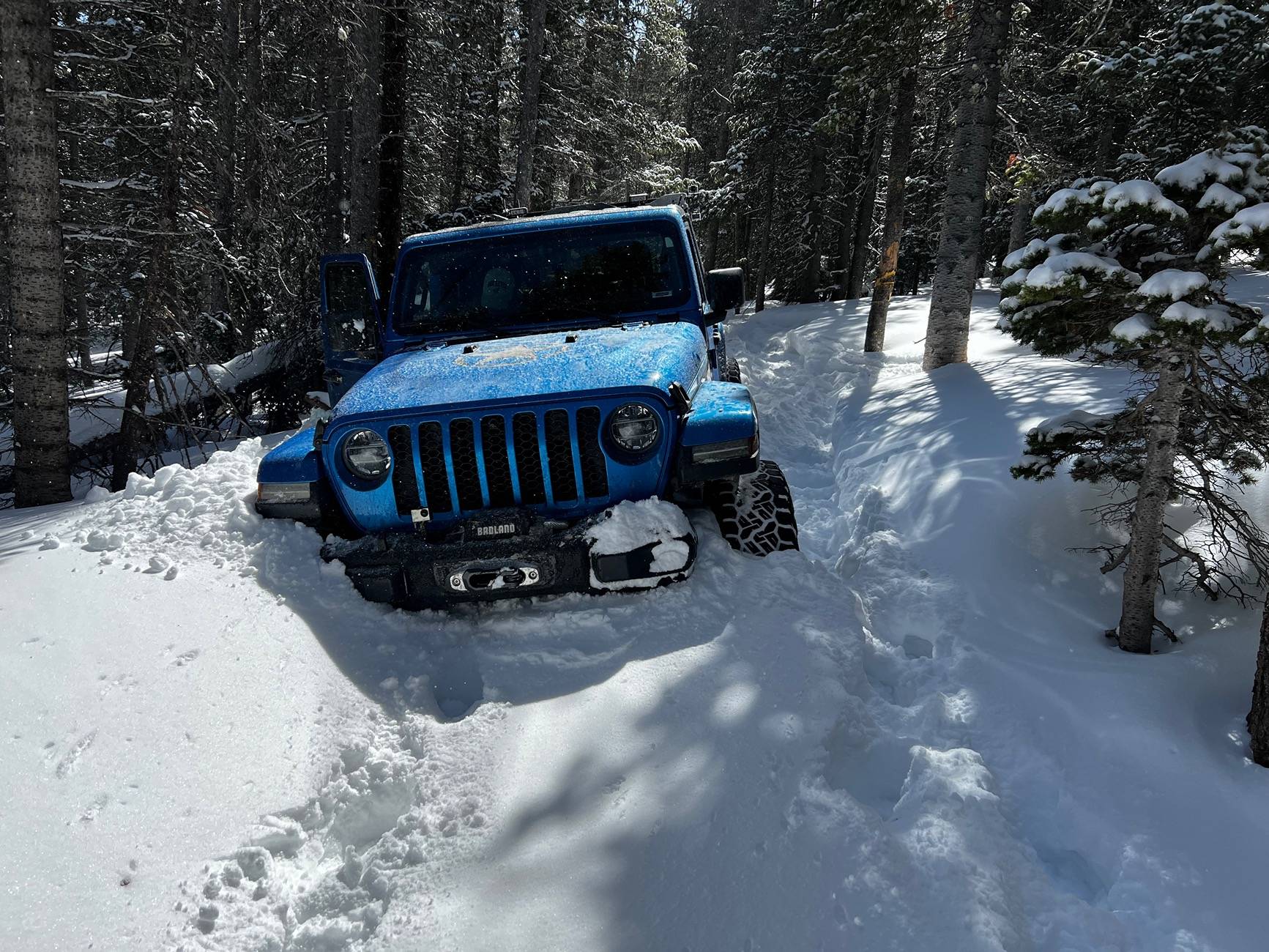 Jeep Gladiator Wee Beastie Money Pit :) IMG_2325