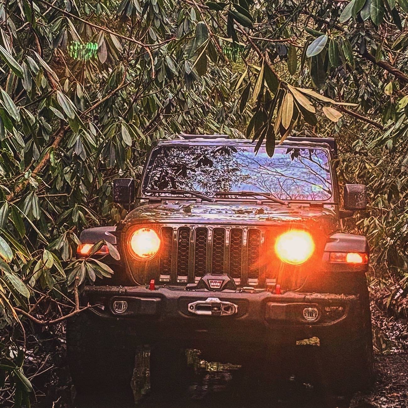 Jeep Gladiator What did you do WITH your Gladiator today? F81DCDCD-AC7B-4B6B-9B41-DE8E956FB6FC
