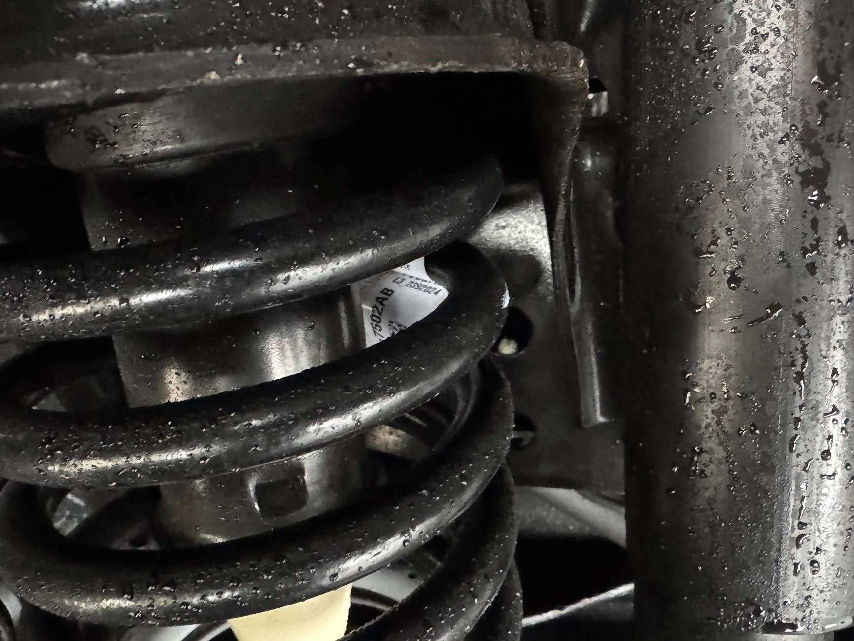 Jeep Gladiator Mojave rear springs standard on 2024 Gladiator Sport Nighthawk? IMG_0288