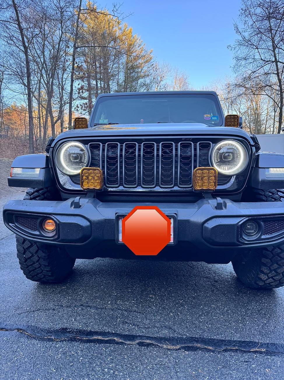 Jeep Gladiator DD Elite Fog amber backlight (driver side)- intermittent out IMG_1689