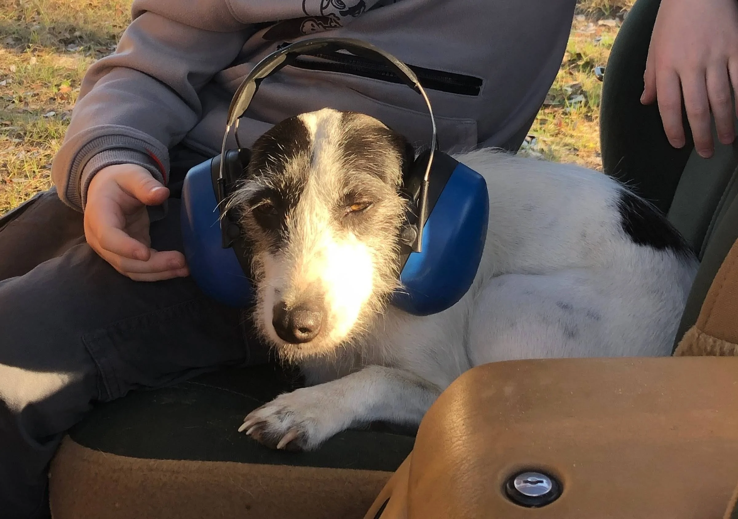 Jeep Gladiator Let’s see your pets cause they are the best companion you can have!!!!! xIcofGnnP60UGEb2BfdiqEn0J-O3GFjpfOVfOhpqqwbV=w2400