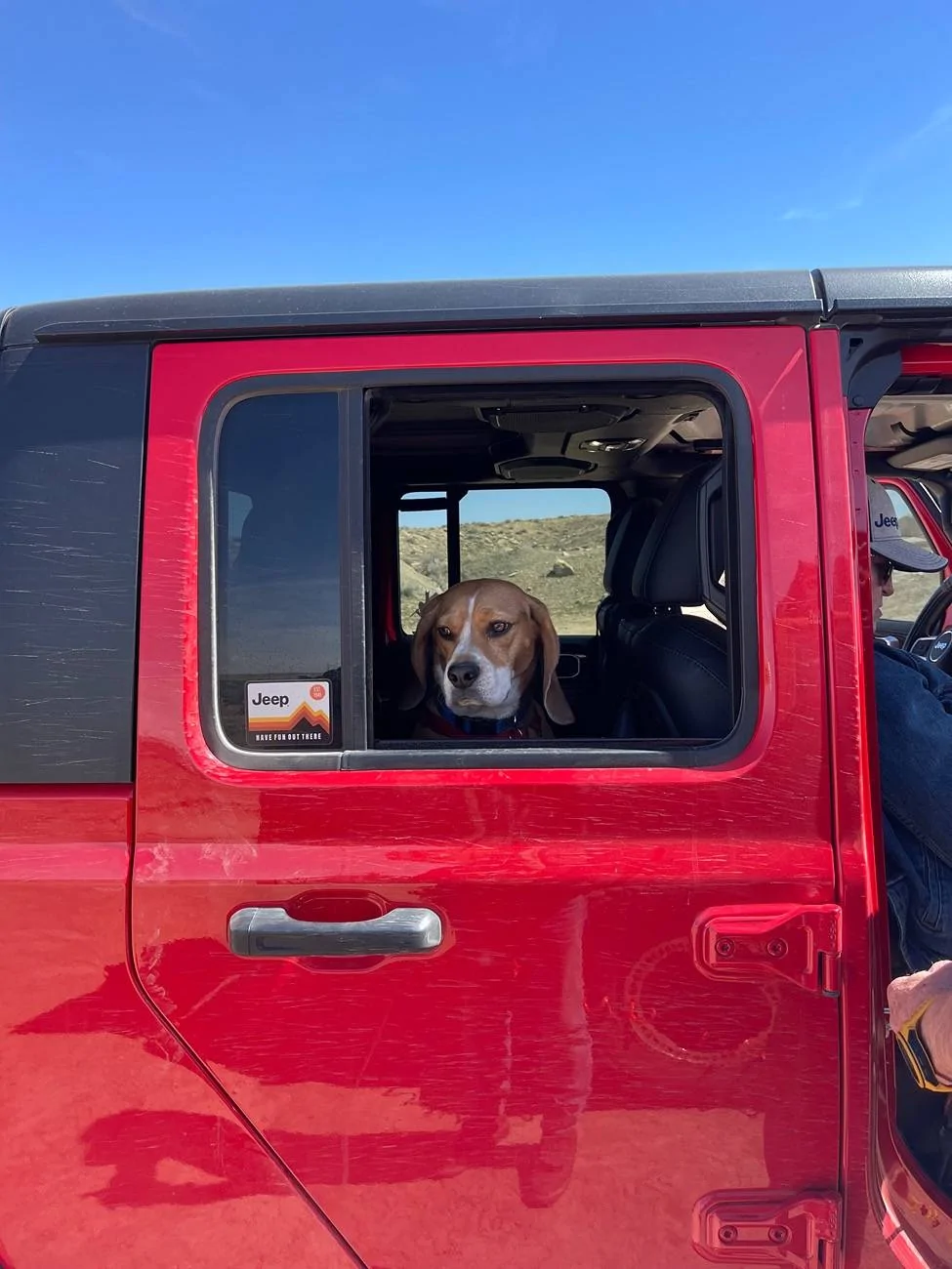 Jeep Gladiator Got a dog for my Gladiator IMG_4515