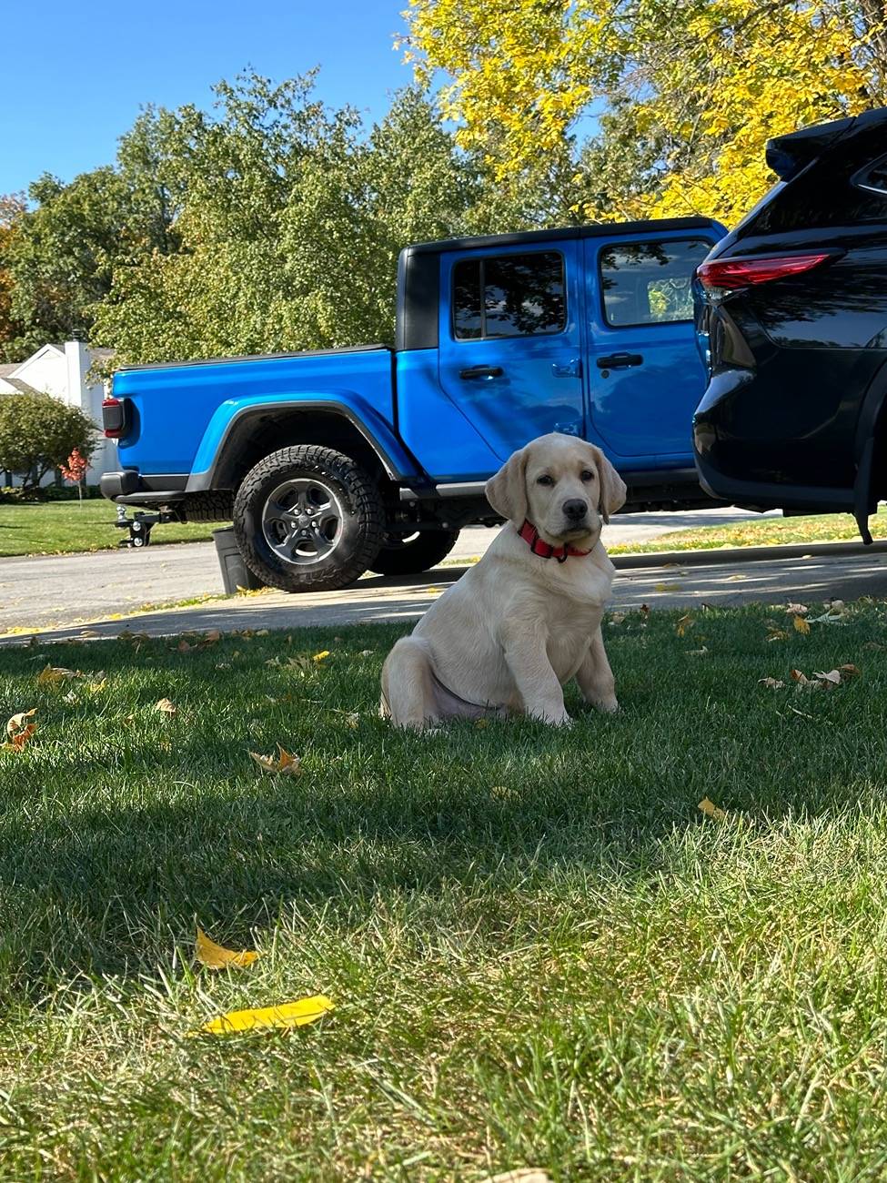 Jeep Gladiator Got a dog for my Gladiator IMG_7360