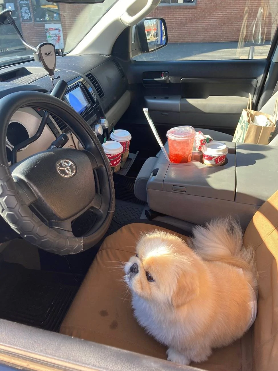 Jeep Gladiator Got a dog for my Gladiator 66188724542__F605FE6F-32C9-4A46-B840-4A9D7402556C