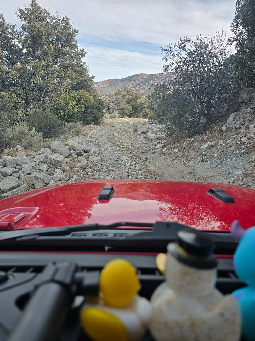 Jeep Gladiator Where did you take your Gladiator Today? 20241228_110719