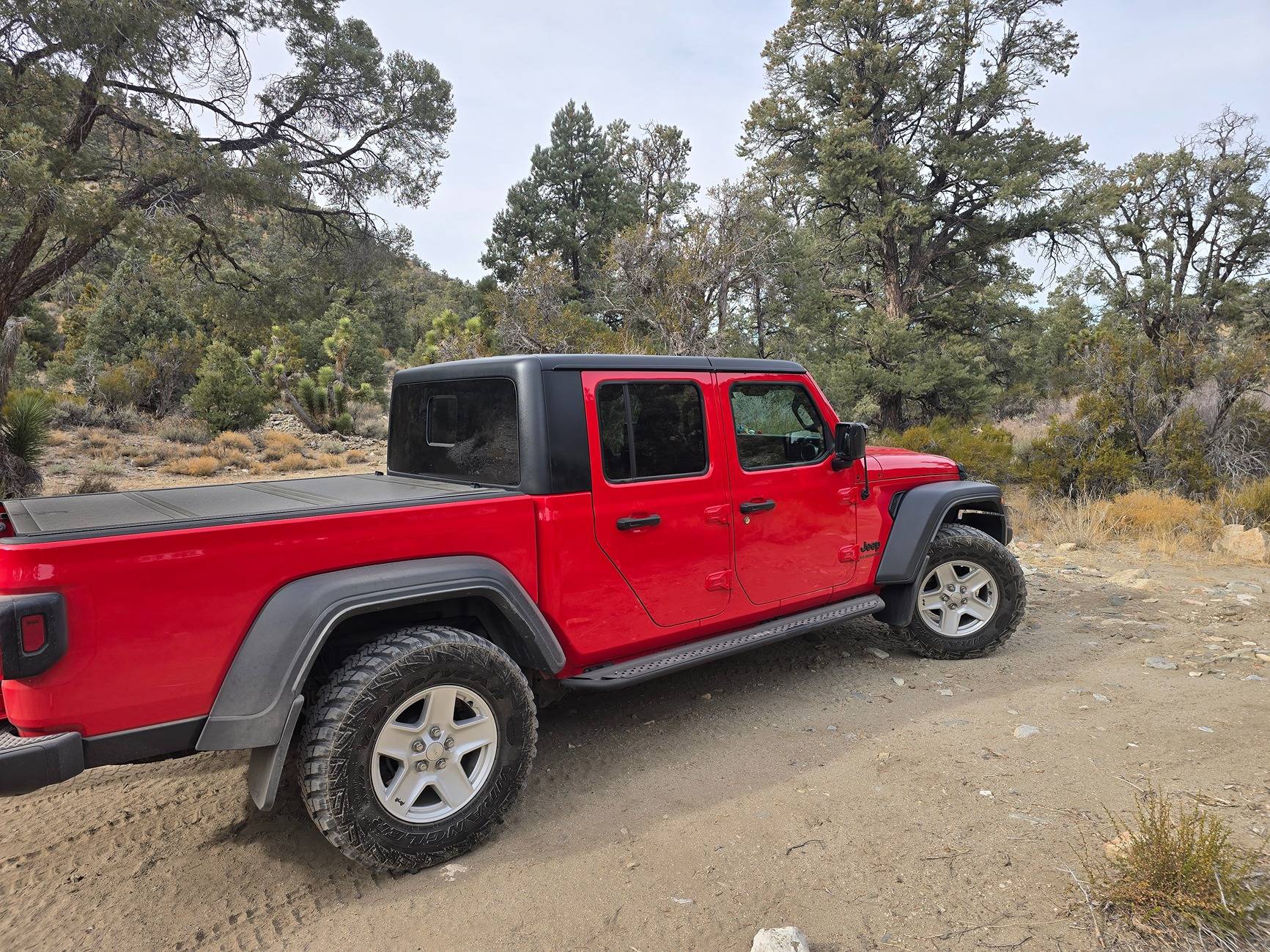 Jeep Gladiator Where did you take your Gladiator Today? 20241228_121046