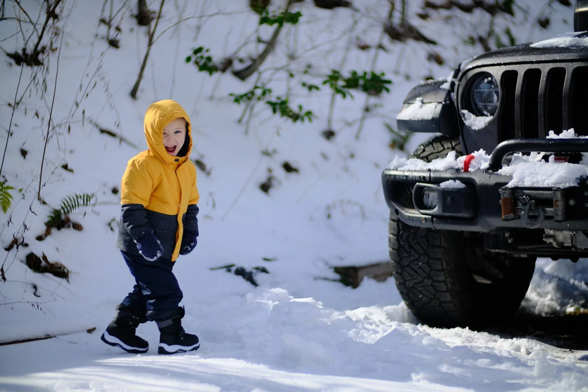 Jeep Gladiator Winter Storm Jan 6-7 2025  Post Pics Here! 1000009936