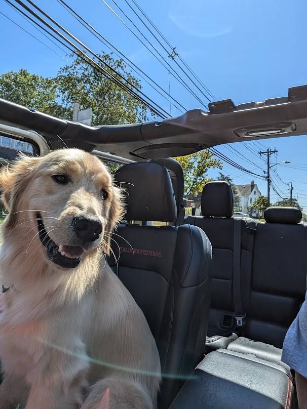 Jeep Gladiator Let’s see your pets cause they are the best companion you can have!!!!! PXL_20240911_162529149