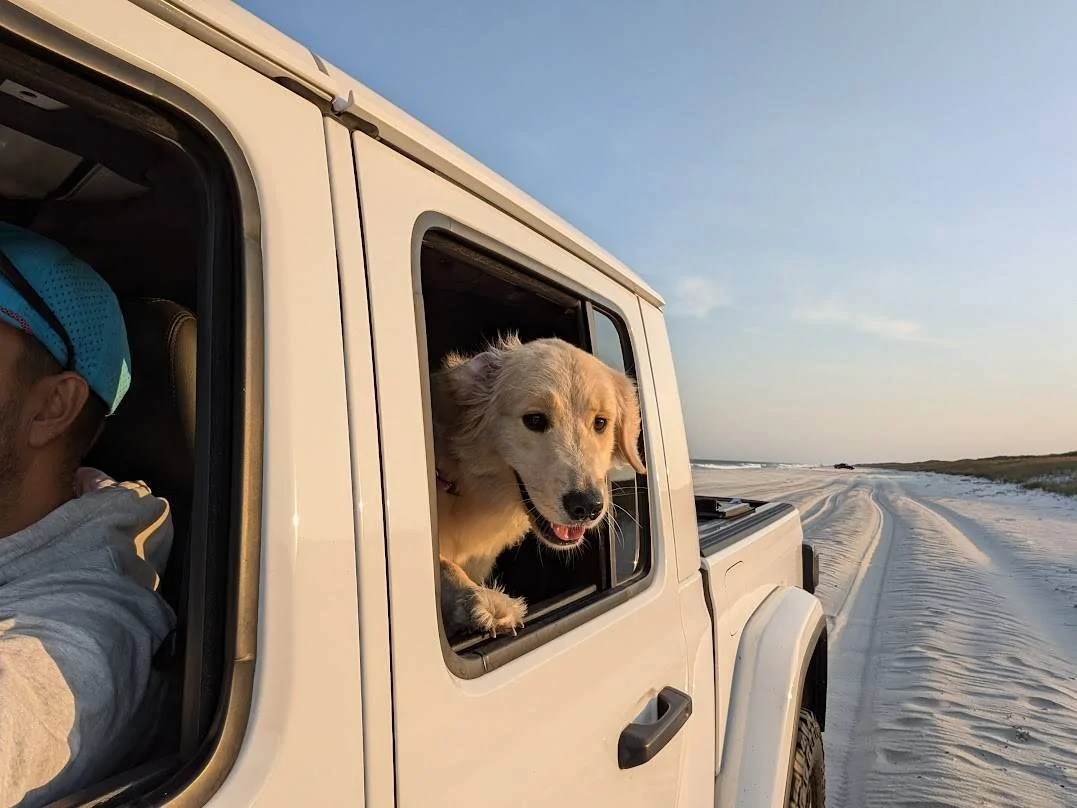 Jeep Gladiator Let’s see your pets cause they are the best companion you can have!!!!! PXL_20241013_213208315