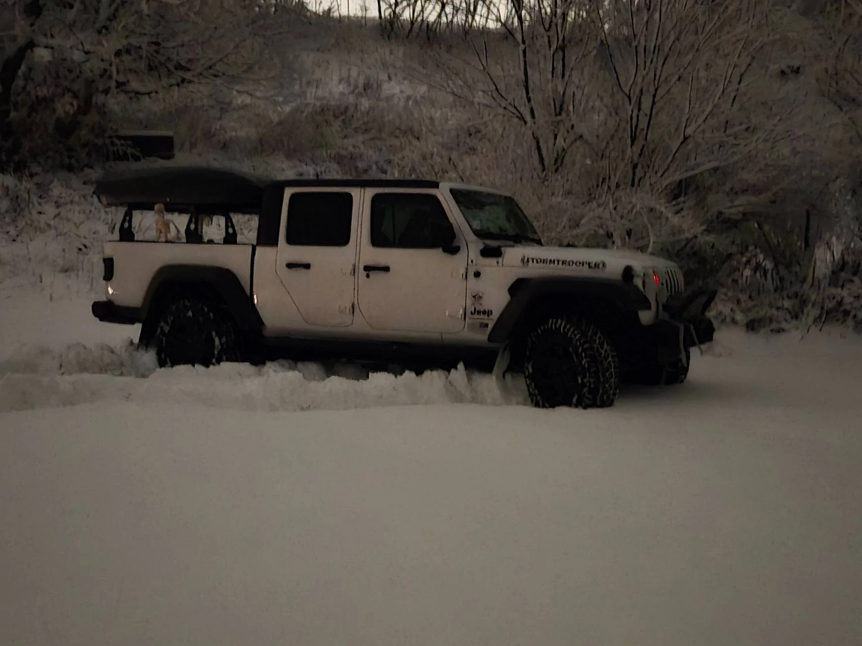 Jeep Gladiator Any 2020 Gladiator Owners Still Here? 1000006379