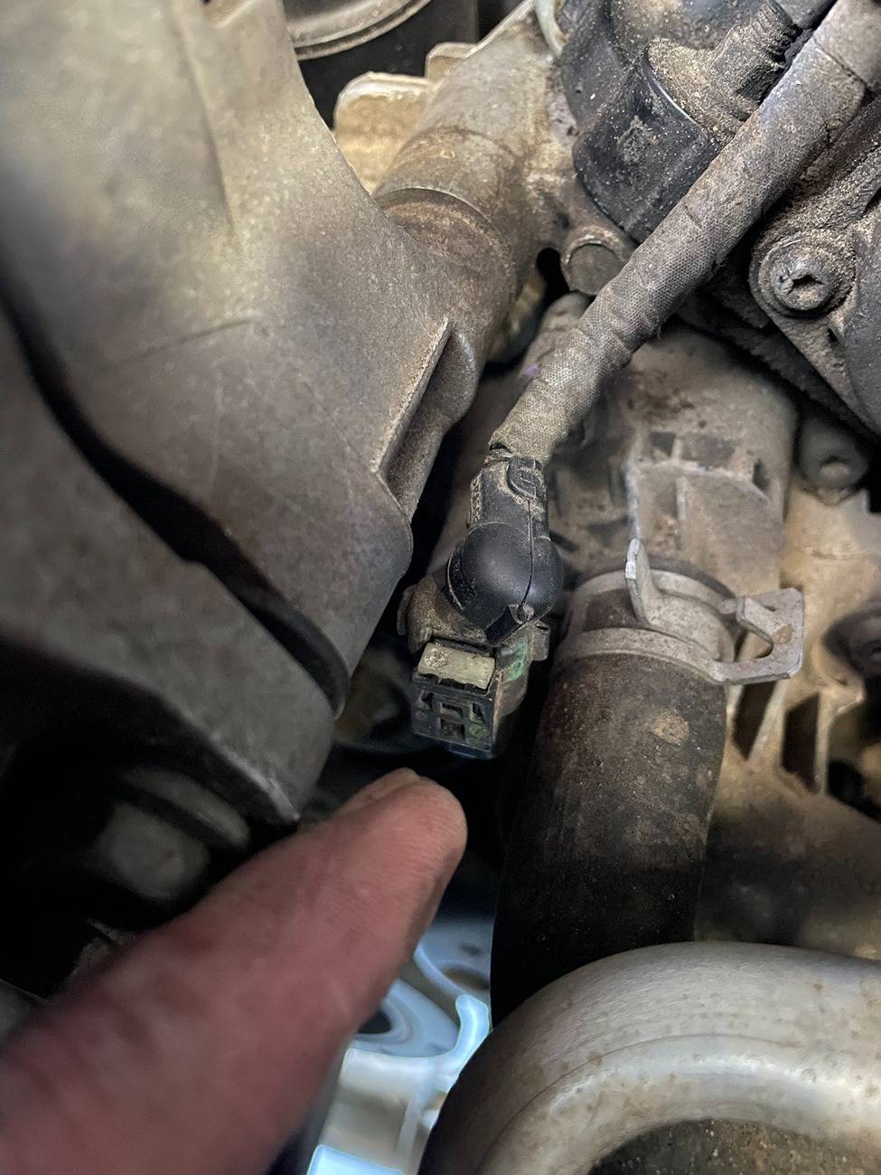 Jeep Gladiator Thermostat sensor wire IMG_0411