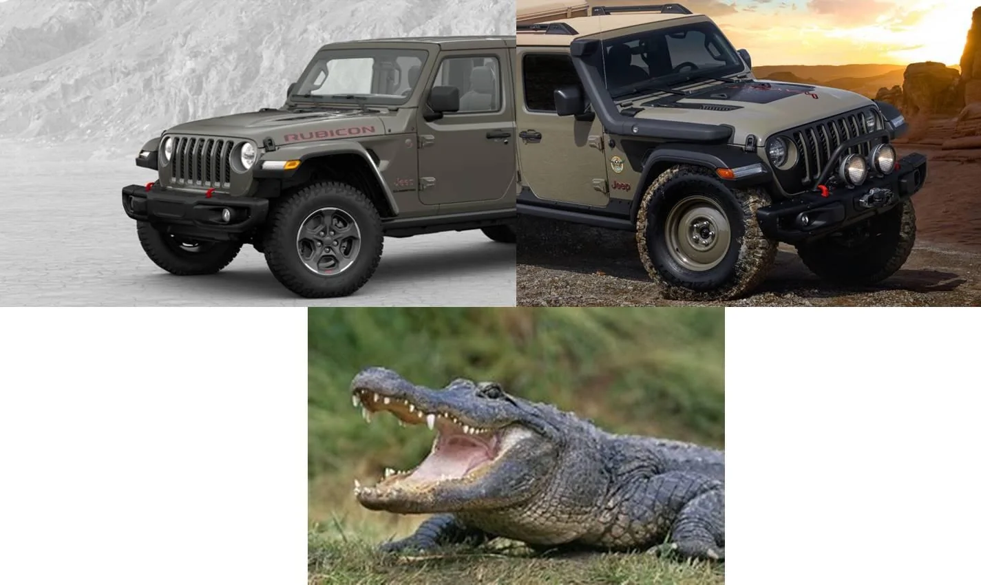 Jeep Gladiator Jeep Configurator Colors(Poll Inside) Gator