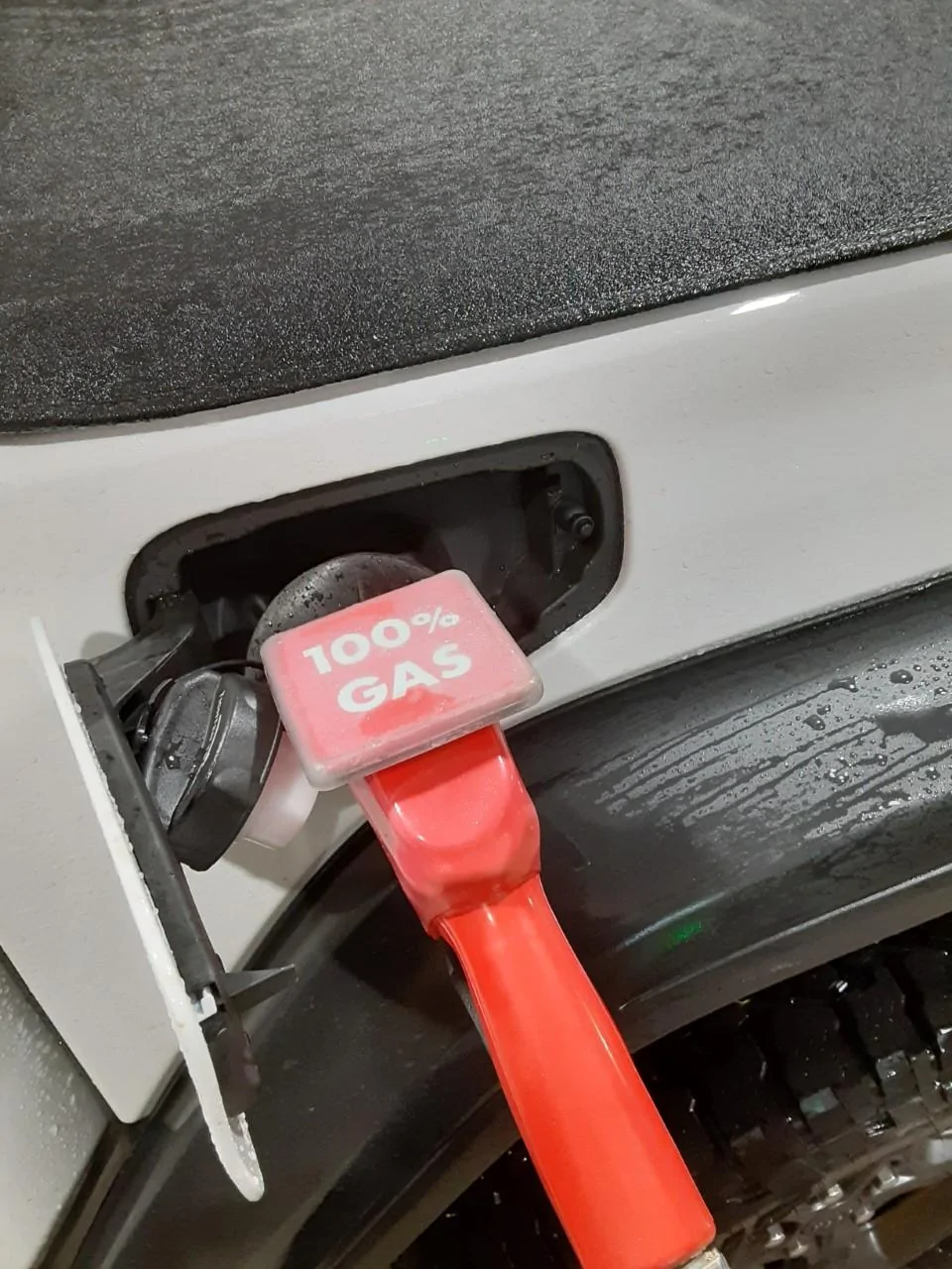 Jeep Gladiator What did you do TO your Gladiator today? [ADMIN WARNING: NO POLITICS, NO GUN TALK] thumbnail_20191029_205624