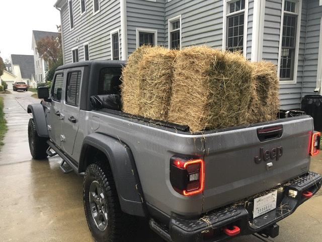 Jeep Gladiator What did you do WITH your Gladiator today? E66FF9BC-3101-46ED-BC51-617E83AE97D7