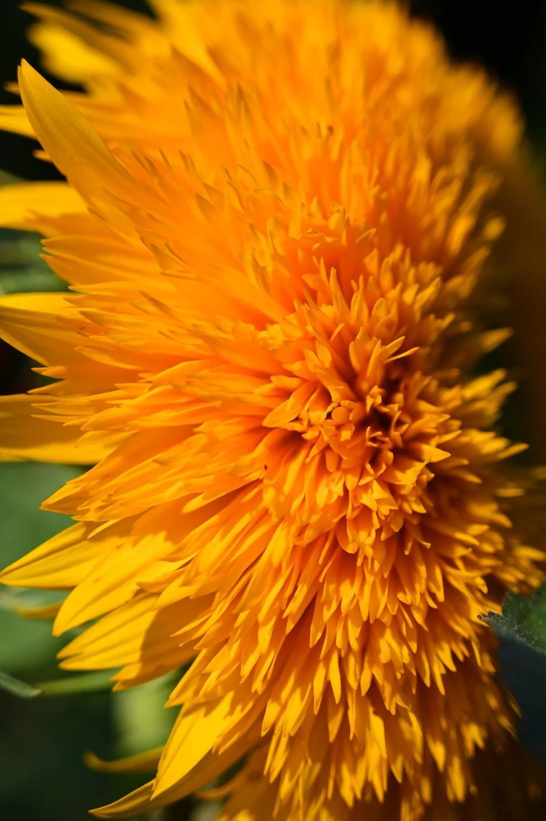 69E2C106-0111-41DC-8C13-E8F40041F464.jpeg
