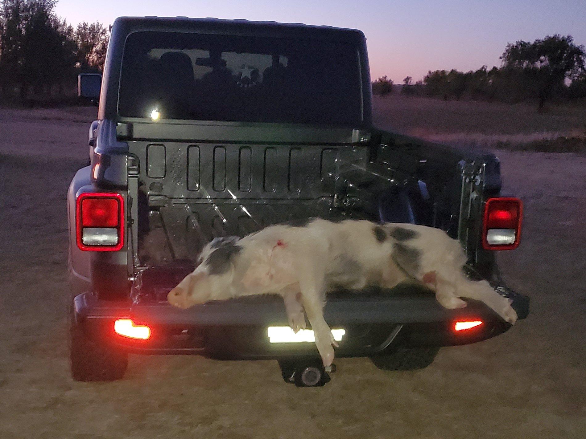 Jeep Gladiator What did you do WITH your Gladiator today? 20191101_192150