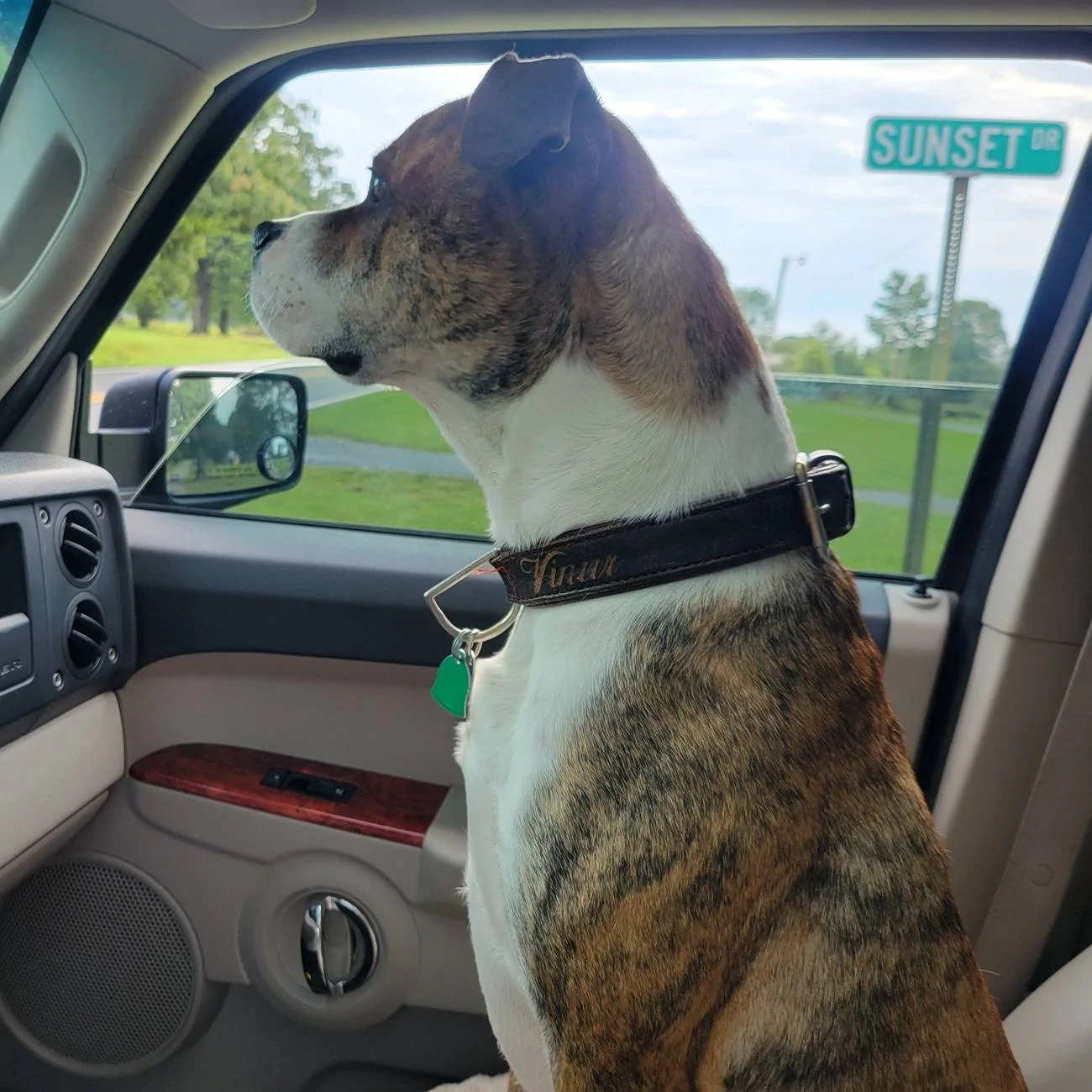 Jeep Gladiator Let’s see your pets cause they are the best companion you can have!!!!! 20230801_091643