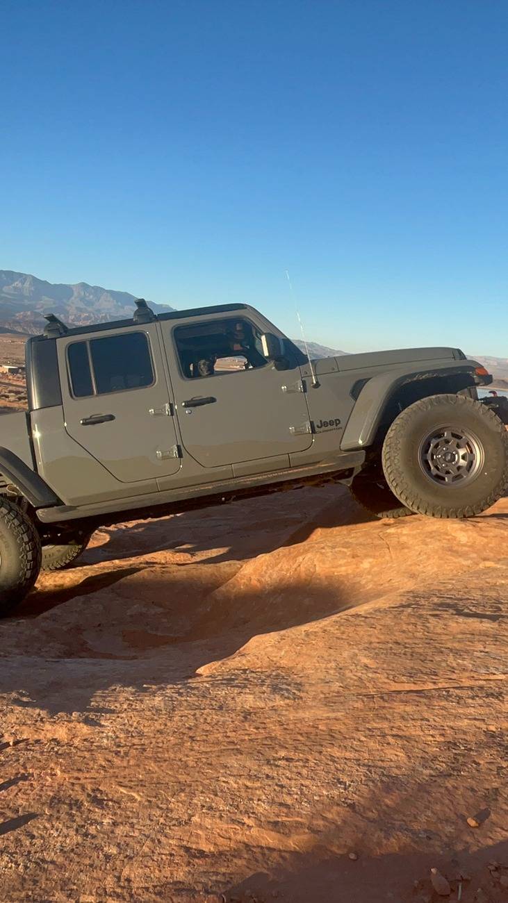 Jeep Gladiator Let’s see your pets cause they are the best companion you can have!!!!! Beau pax.JPG