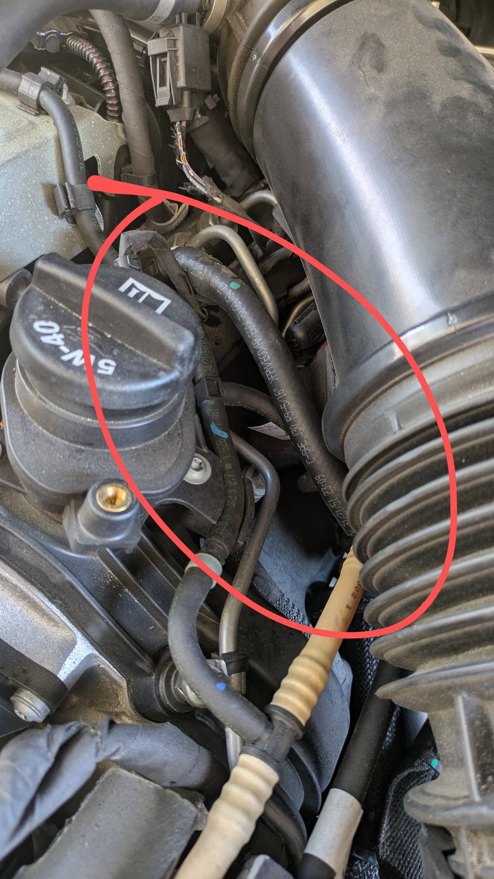 Jeep Gladiator Animal chewed up hose and wiring harness. Help identifying hose 1000005220