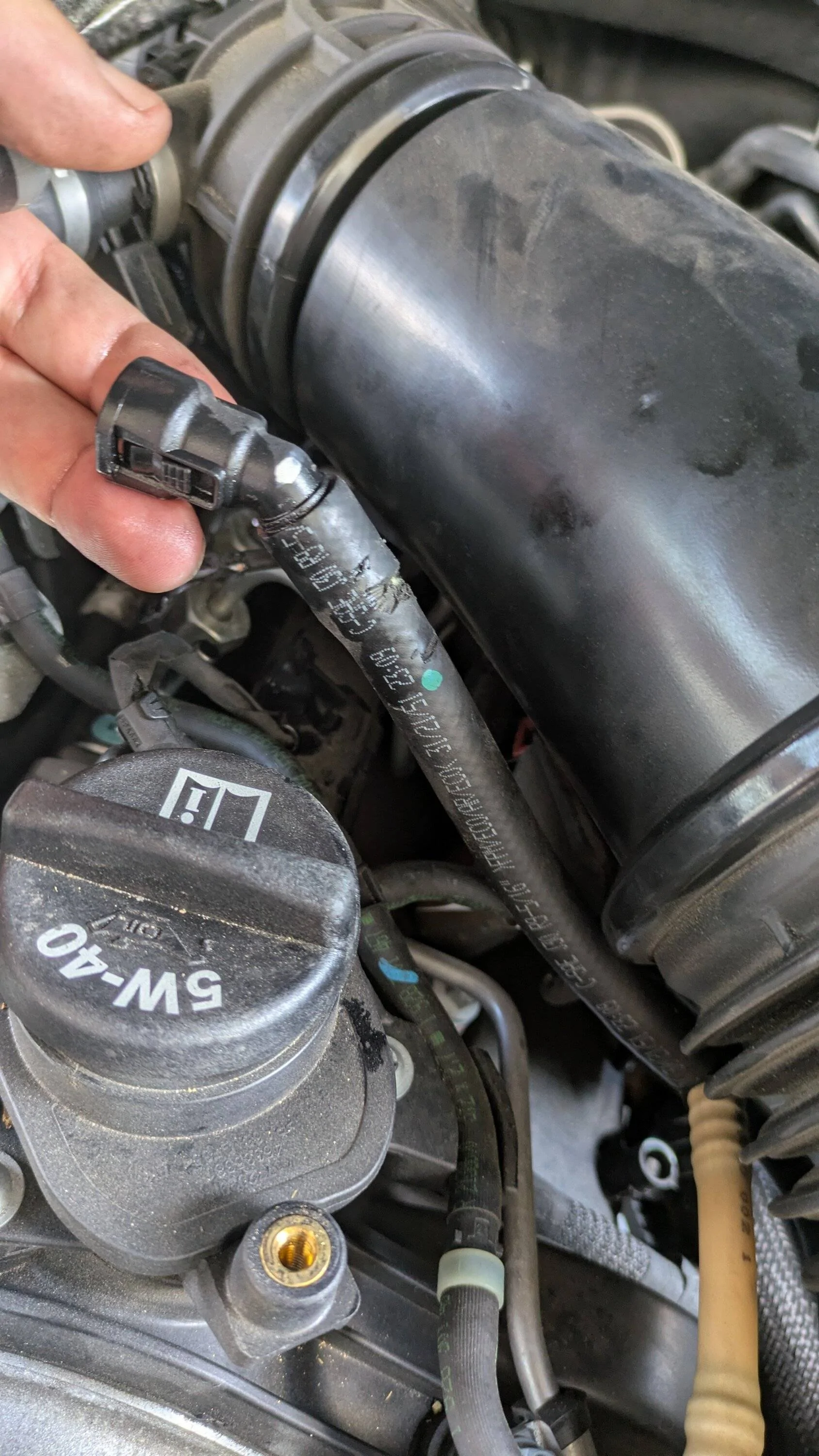Jeep Gladiator Animal chewed up hose and wiring harness. Help identifying hose 1000005218