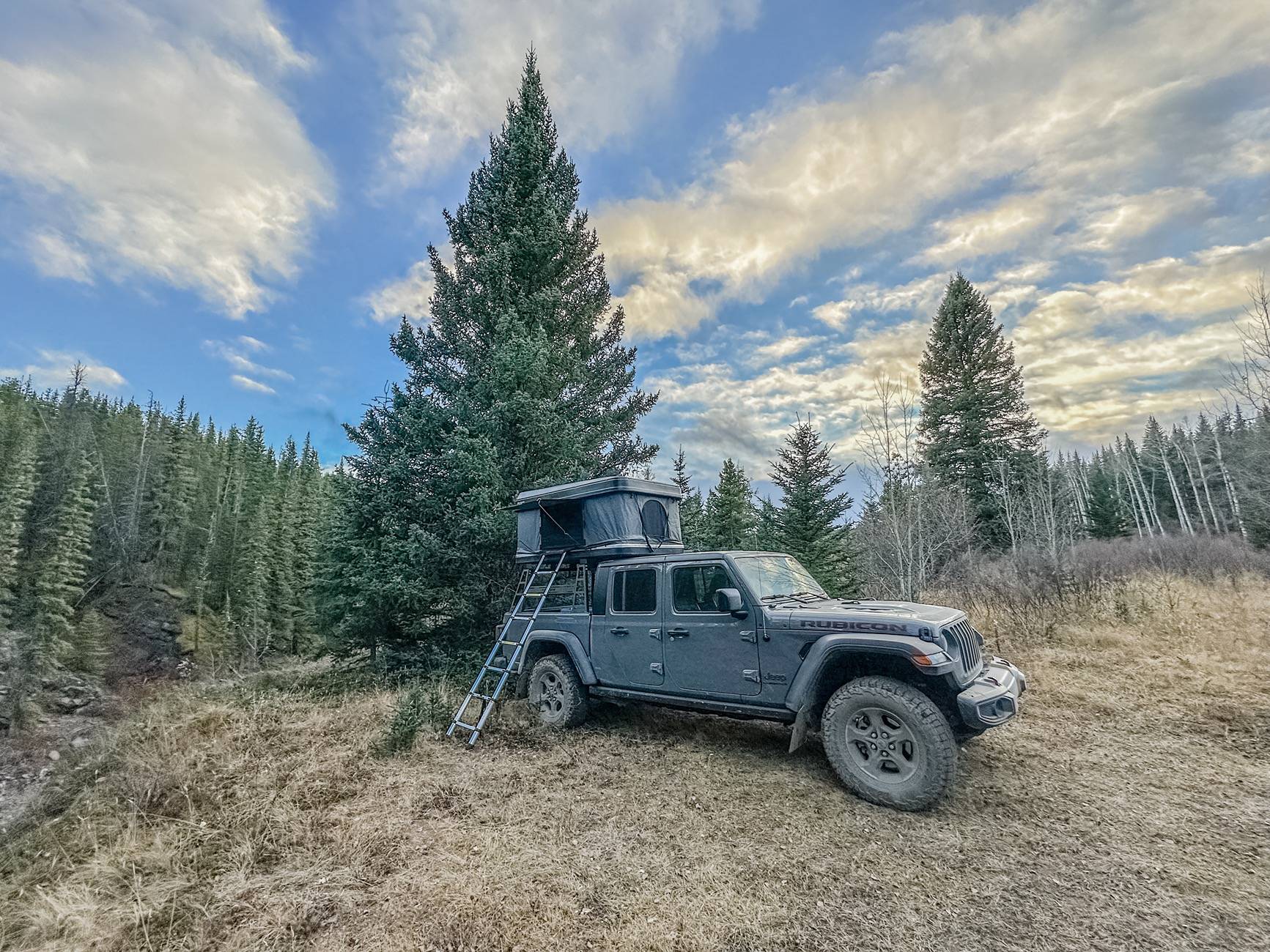 Jeep Gladiator STING GRAY Gladiator JT Club IMG_4511