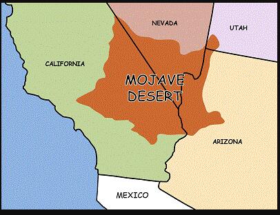 Jeep Gladiator Curious: Why Mojave and not Sahara JT? 1739074174876-8