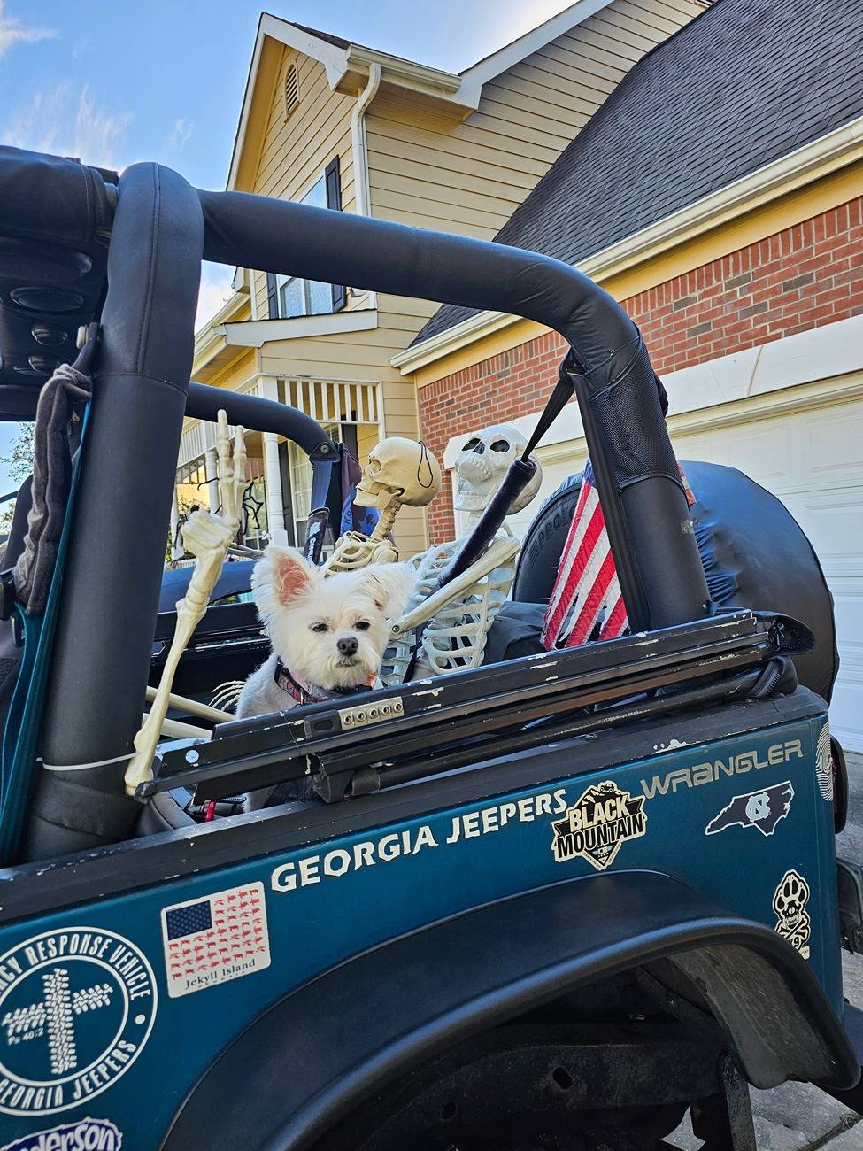 Jeep Gladiator Let’s see your pets cause they are the best companion you can have!!!!! 20241019_160620