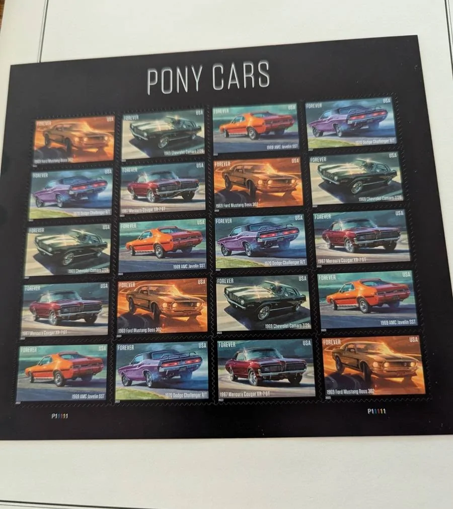 Jeep Gladiator Other obsessions and hobbies or other. 🙃 PXL_20250210_213304116