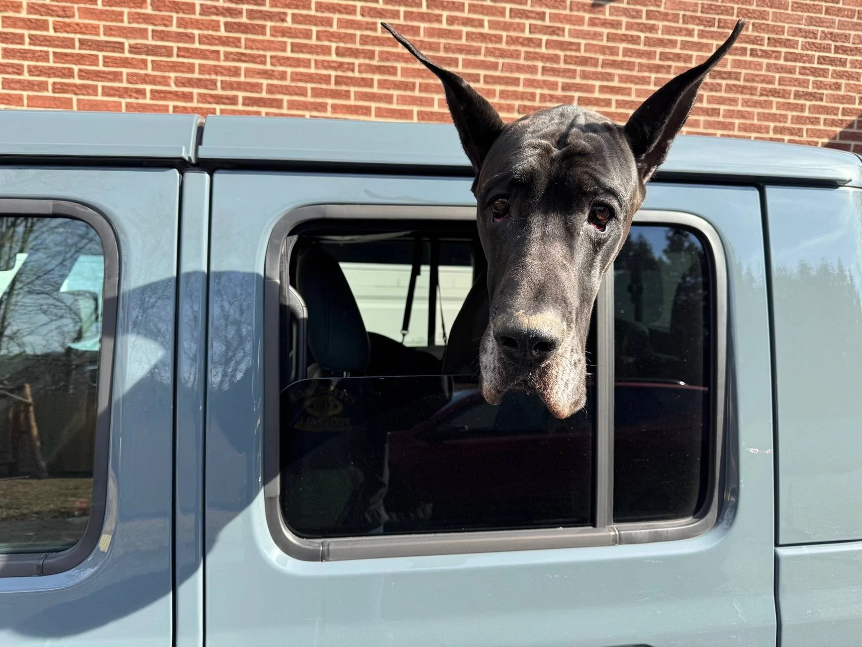 Jeep Gladiator Modify Back Doors to Make More Dog Friendly IMG_2805