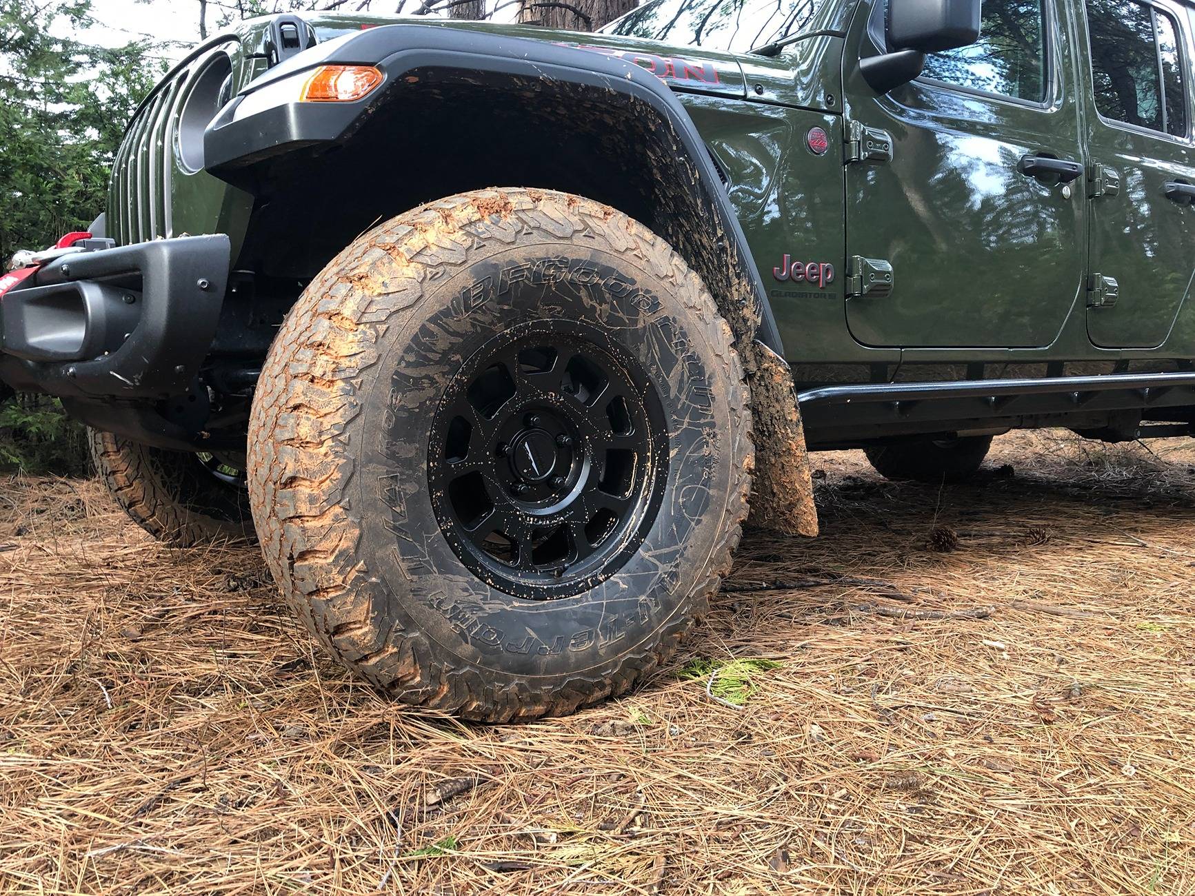 Jeep Gladiator I have never been a mud flap type but.... JTMudFlap.JPG