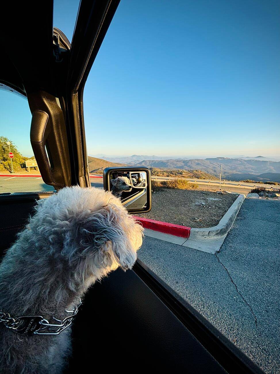 Jeep Gladiator Let’s see your pets cause they are the best companion you can have!!!!! FullSizeRender