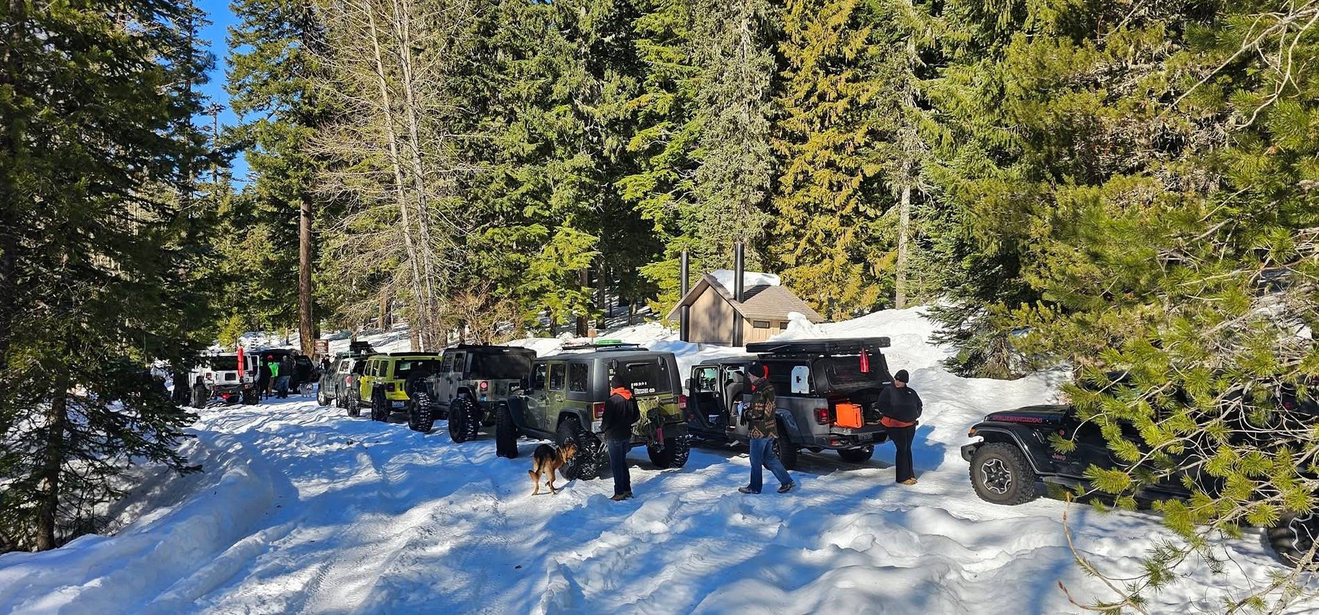 Jeep Gladiator Gladiators Snow Wheeling - Post Your Pics! IMG_5723
