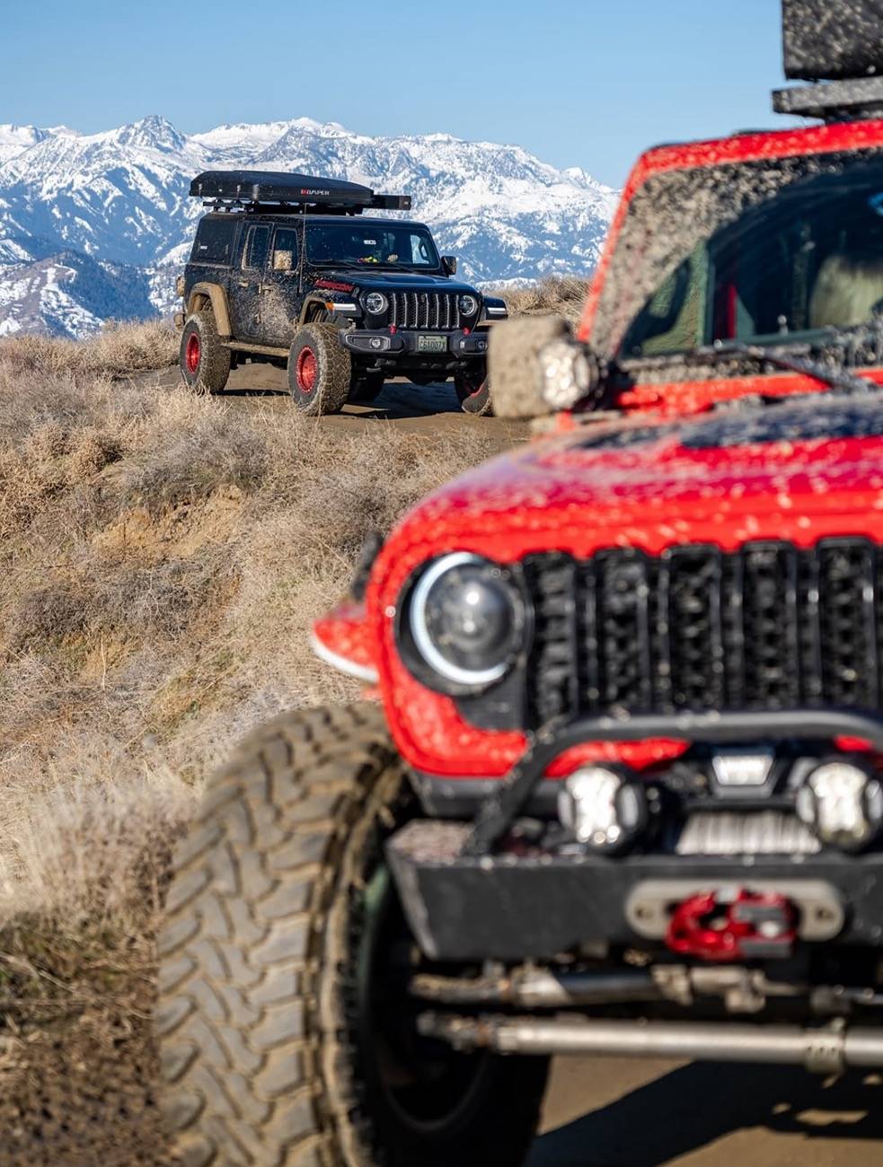 Jeep Gladiator Gladiator Glamour Shots IMG_6516