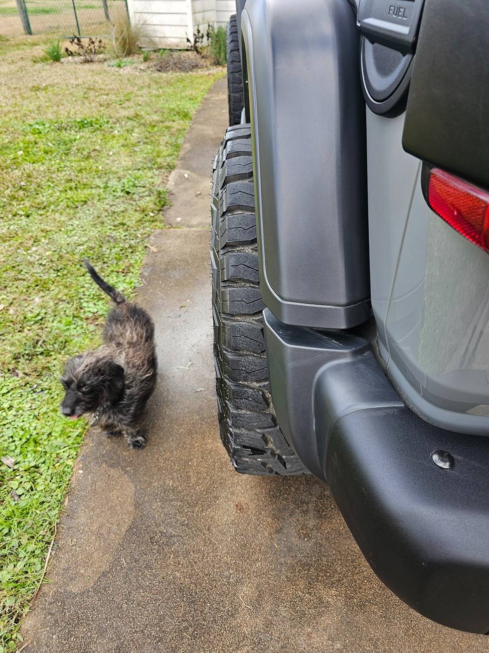 Texas - Price Drop(5) Fuel Assault D546 Wheels 17x9 +1 offset - Like ...
