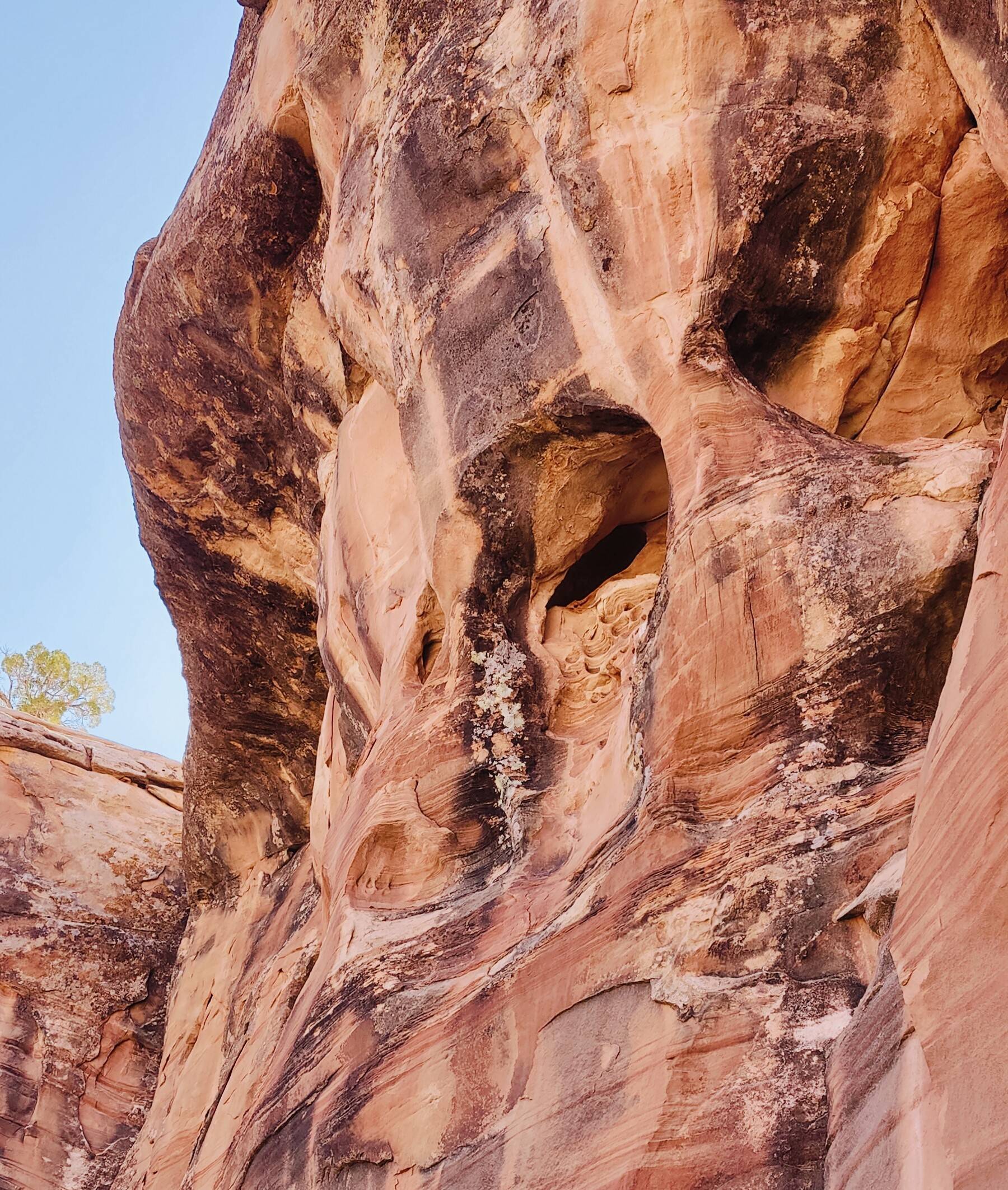 Jeep Gladiator March 2025 Red Rock 4-Wheelers Trail of the Month Formin