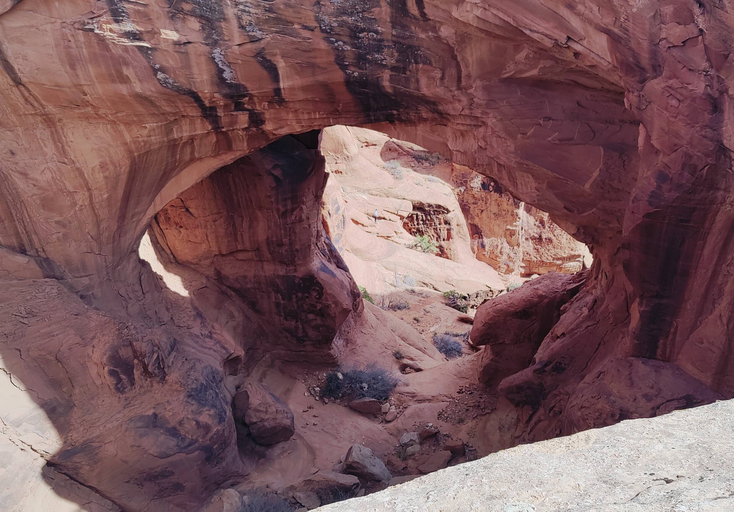 Jeep Gladiator March 2025 Red Rock 4-Wheelers Trail of the Month Gemini