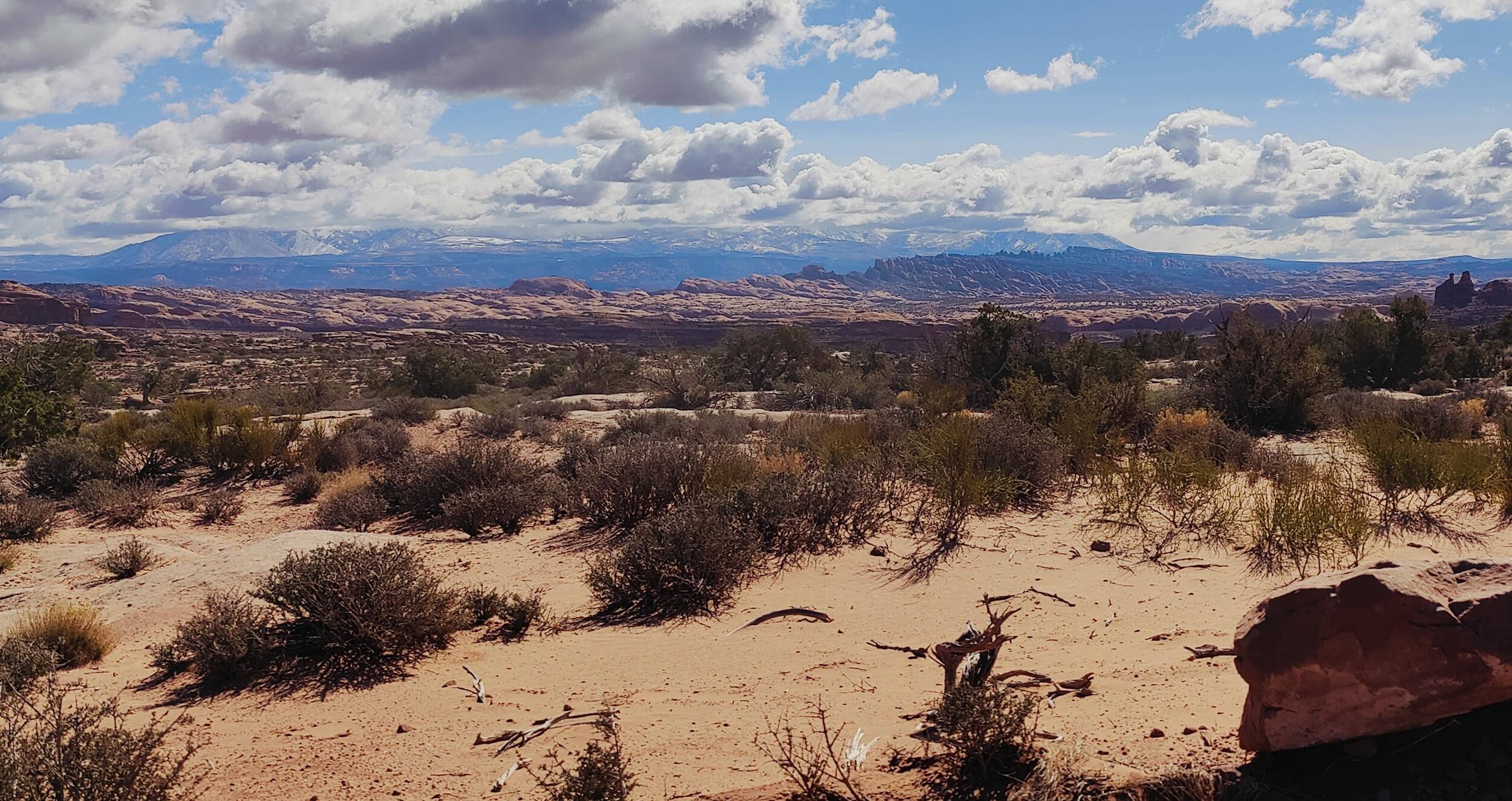 Jeep Gladiator March 2025 Red Rock 4-Wheelers Trail of the Month LasBehind