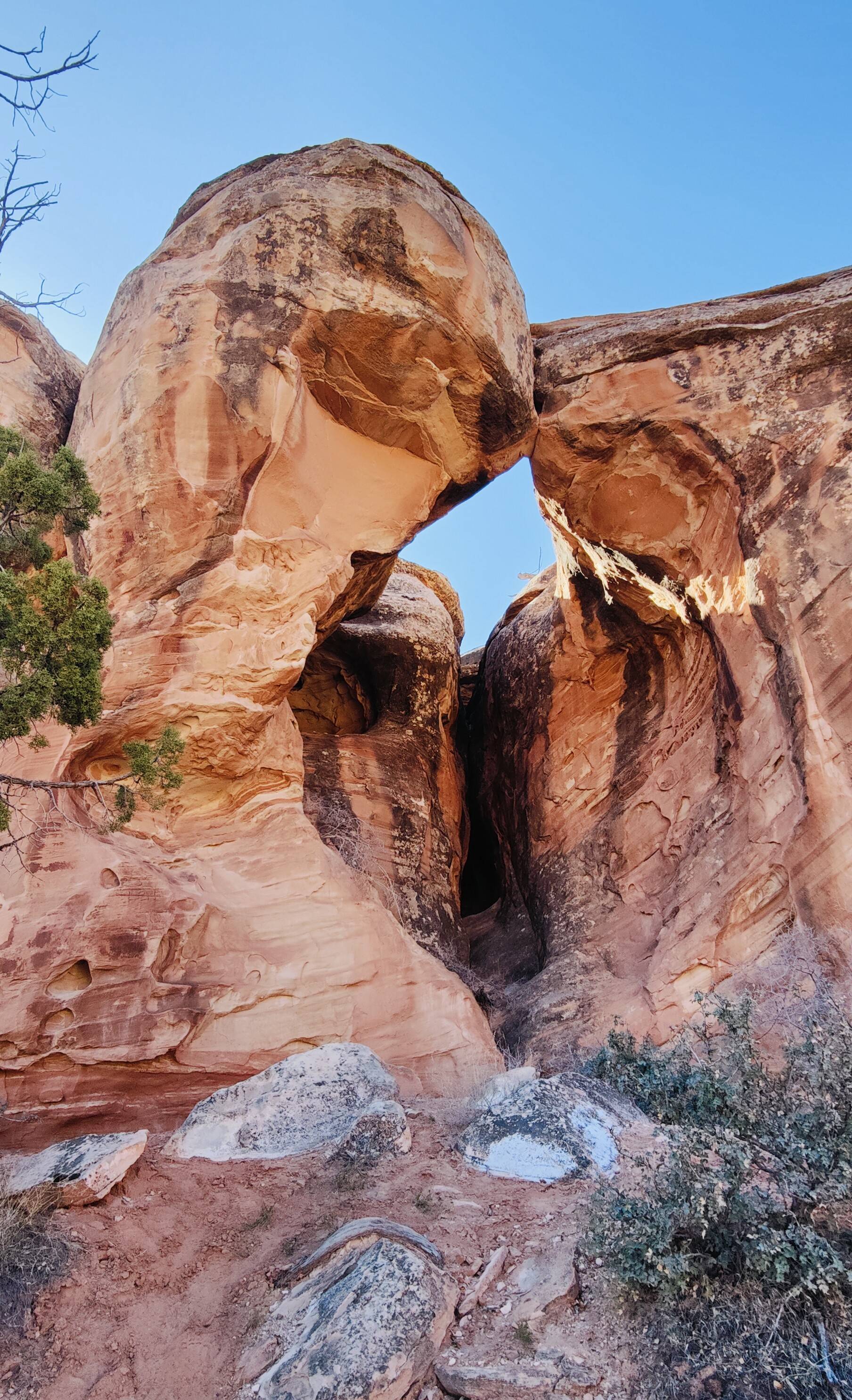 Jeep Gladiator March 2025 Red Rock 4-Wheelers Trail of the Month Little