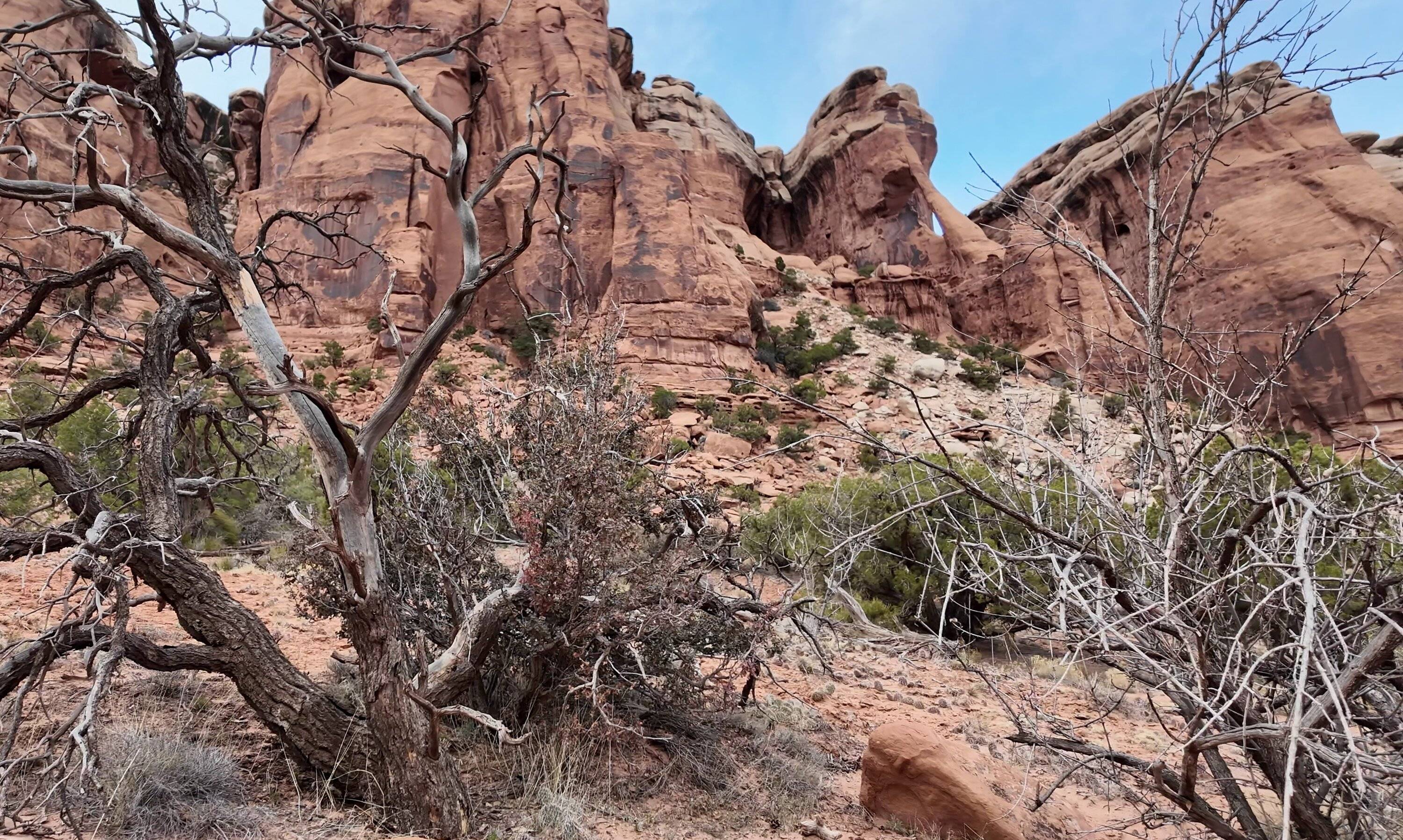 Jeep Gladiator March 2025 Red Rock 4-Wheelers Trail of the Month Mosquito