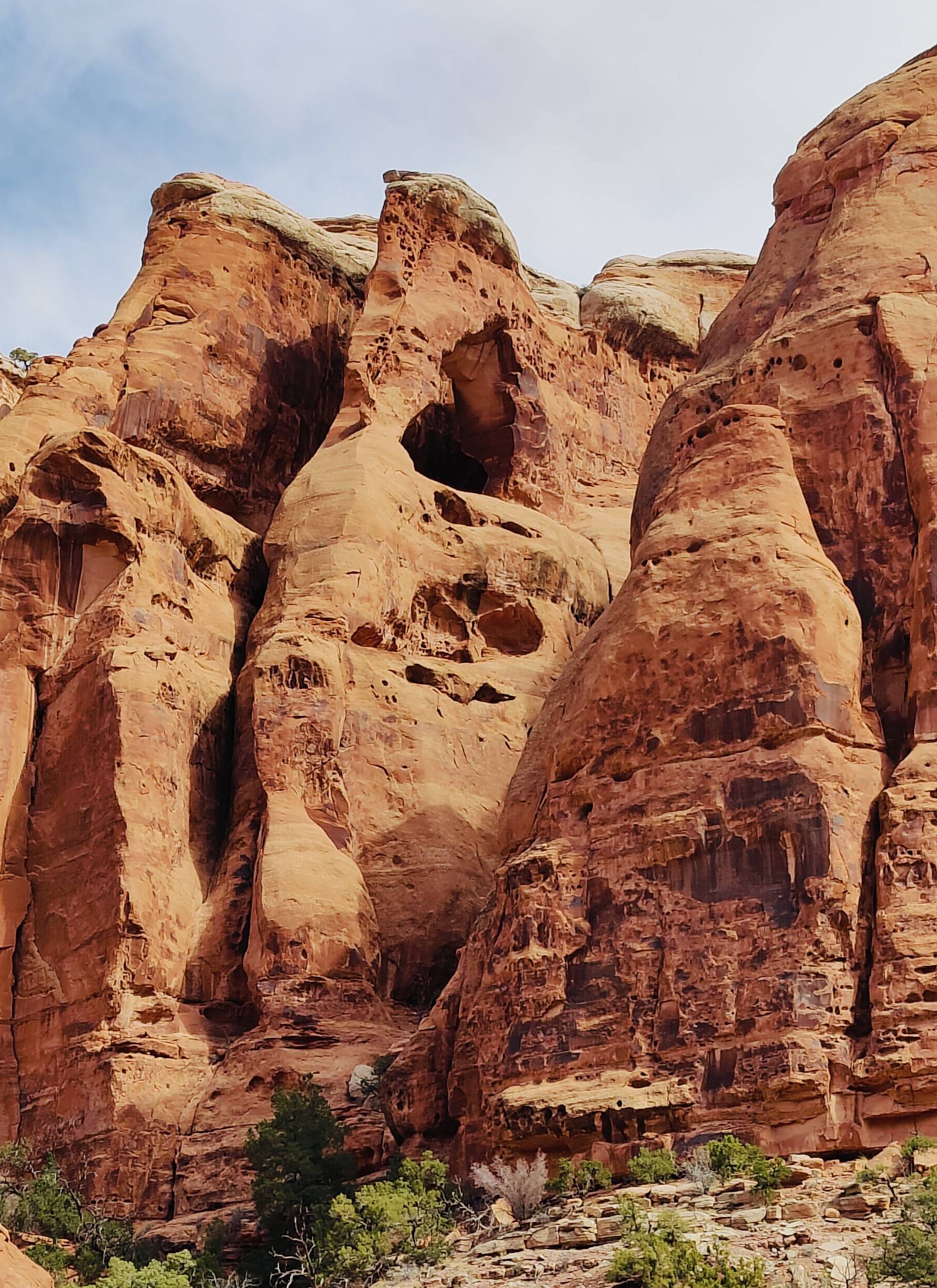 Jeep Gladiator March 2025 Red Rock 4-Wheelers Trail of the Month Shadow
